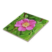 Eén wilde Roos Tegeltje (Zijkant)