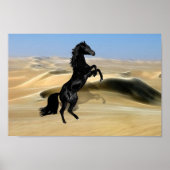 Een wilde zwarte hengst poster (Voorkant)