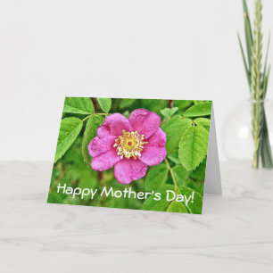 Één Wildernis nam toe Kaart