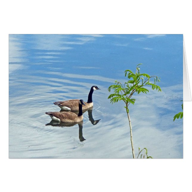 Een wim leuk vinden (Voorkant Horizontaal)