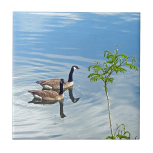 Een wim leuk vinden tegeltje