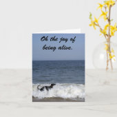 Een windhond die geniet van het surf. kaart (Gele Bloem)