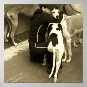 een windhond met drie poten poster