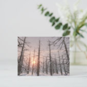 Een Winter Night's Dream Briefkaart (Staand voorkant)