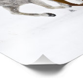 Een winter schilderachtig van hardlooppaarden foto afdruk (Hoek)