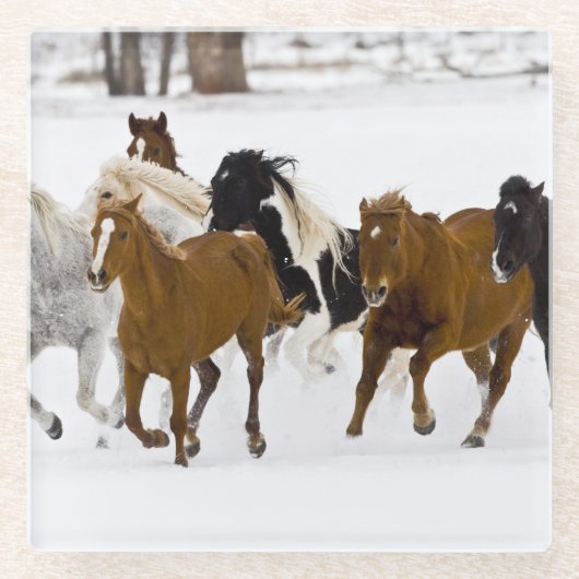 Een winter schilderachtig van hardlooppaarden glazen onderzetter (Voorkant)
