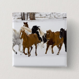 Een winter schilderachtig van hardlooppaarden vierkante button 5,1 cm