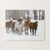 Een winter schilderachtig van hardlopen legpuzzel (Horizontaal)
