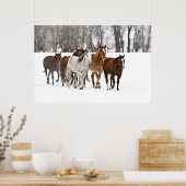Een winter schilderachtig van renpaarden op de 2 poster (Keuken)