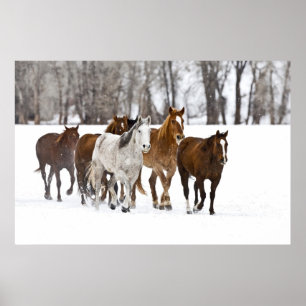 Een winter schilderachtig van renpaarden op de 2 poster