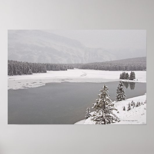 Een winterbergplaats in het nationale park Banff Poster (Voorkant)