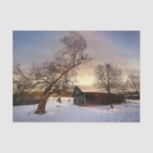 Een winterboom die een gestreepte schuur beschermt tissuepapier (Voorkant)