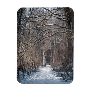 Een winterdag in Kluisbos België Magneet
