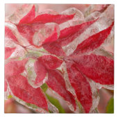 Een winterijs-storm dat de bladeren van tegeltje (Voorkant)