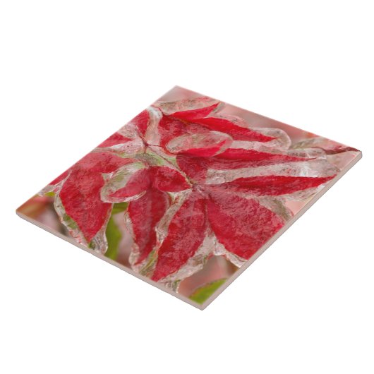 Een winterijs-storm dat de bladeren van tegeltje (Zijkant)