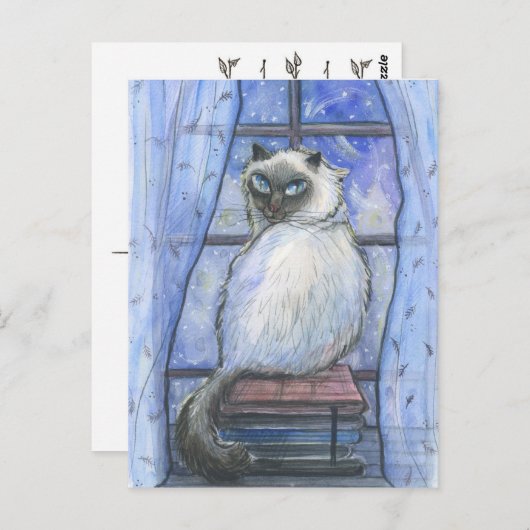 Een winterkat. briefkaart (Voorkant / Achterkant)