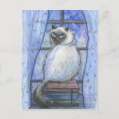Een winterkat. briefkaart (Voorkant)