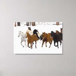 Een winters landschap met rennende paarden canvas afdruk
