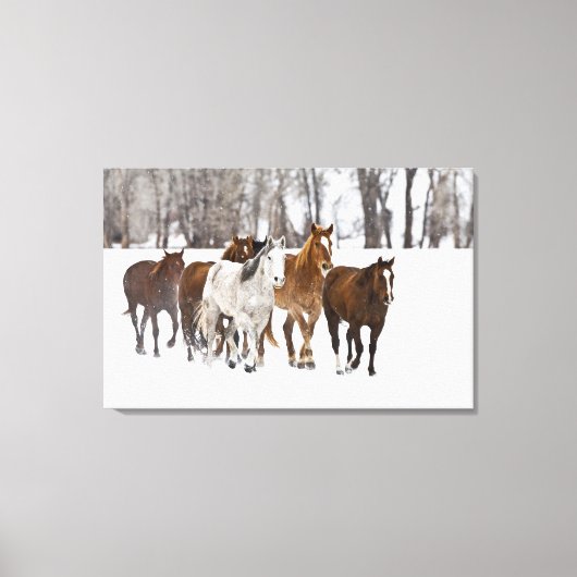 Een winters landschap van hardlopen canvas afdruk (Voorkant)