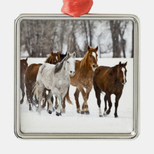Een winters landschap van hardlopen metalen ornament