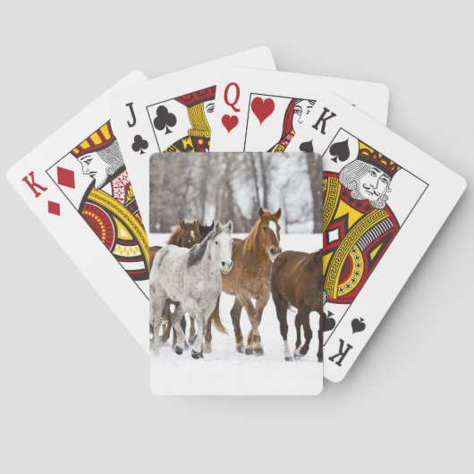 Een winters landschap van hardlopen pokerkaarten (Achterkant)