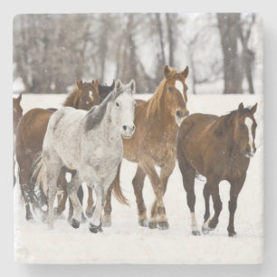 Een winters landschap van hardlopen stenen onderzetter