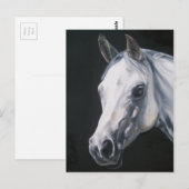 Een wit Paard Briefkaart (Voorkant / Achterkant)