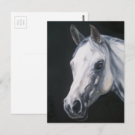 Een wit Paard Briefkaart (Voorkant / Achterkant)