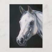 Een wit Paard Briefkaart (Voorkant)