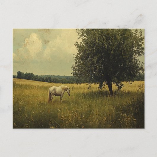 Een wit paard dat op een veld graast briefkaart (Voorkant)