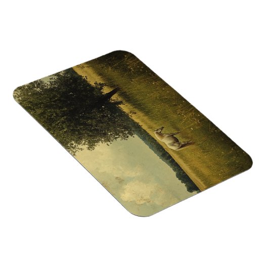 Een wit paard dat op een veld graast magneet (Rechterzijde)