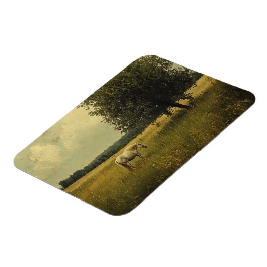 Een wit paard dat op een veld graast magneet (Linkerzijde)