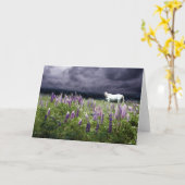 Een wit paard in een lupine Storm Kaart (Gele Bloem)