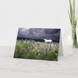 Een wit paard in een lupine Storm Kaart