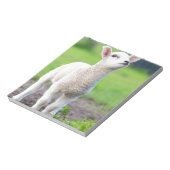 Een wit pasgeboren lamsvlees dat in groengras staa notitieblok (Linkerzijde)