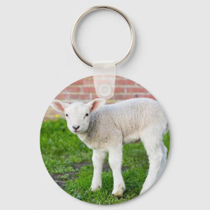Een wit pasgeboren lamsvlees dat in groengras staa sleutelhanger