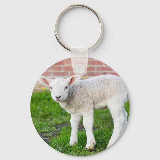 Een wit pasgeboren lamsvlees dat in groengras staa sleutelhanger (Voorkant)