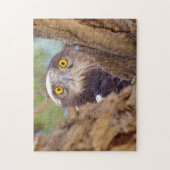 Een witborstslangearend legpuzzel (Verticaal)