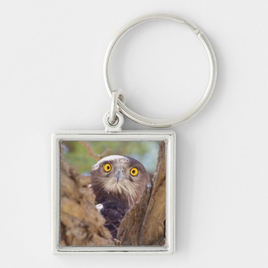 Een Witborstslangearend Sleutelhanger (Voorkant)