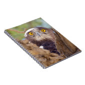 Een witborstslangenarend notitieboek (Rechterzijde)