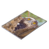 Een witborstslangenarend notitieboek (Linkerzijde)