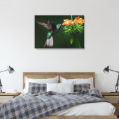 Een Witkeelbergbij drinkt Nectar Canvas Afdruk (Insitu (Slaapkamer))