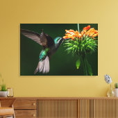 Een Witkeelbergbij drinkt Nectar Canvas Afdruk (Insitu (Woonkamer))