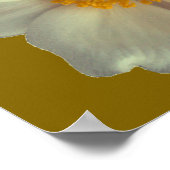 Een witte bloem poster (Hoek)