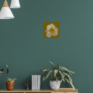 Een witte bloem poster