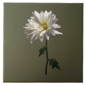 Een Witte Daisy Tegeltje (Voorkant)