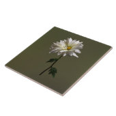 Een Witte Daisy Tegeltje (Zijkant)