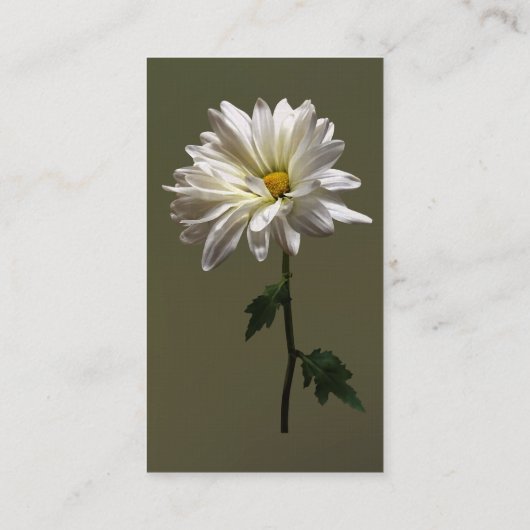 Een Witte Daisy Visitekaartje (Achterkant)
