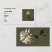 Een Witte Daisy Visitekaartje (Voorkant / Achterkant)