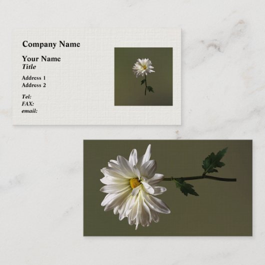 Een Witte Daisy Visitekaartje (Voorkant / Achterkant)